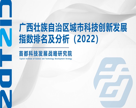 大黑鸡巴狂操大奶无毛骚逼【成果发布】广西壮族自治区城市科技创新发展指数排名及分析（2022）